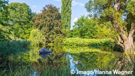 Teich im Alten Botanischen Garten in Marburg.
