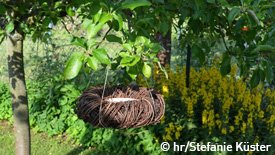 Vogeltränke hängt an einem Baum.