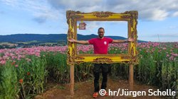hr4-Moderator Jürgen Scholle in einem Bilderrahmen, der als Fotomotiv für die Mohnblüte dient.